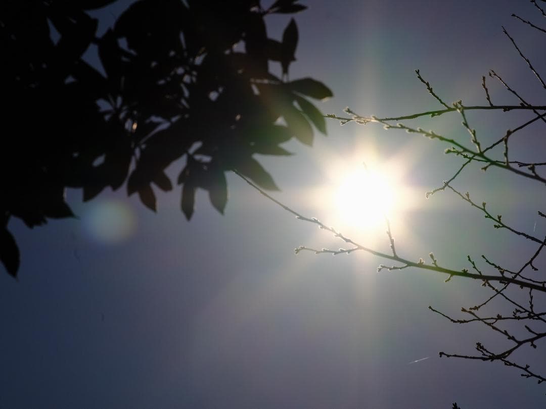 【テスト済】SMC PENTAX-A 645 200mm F4 392