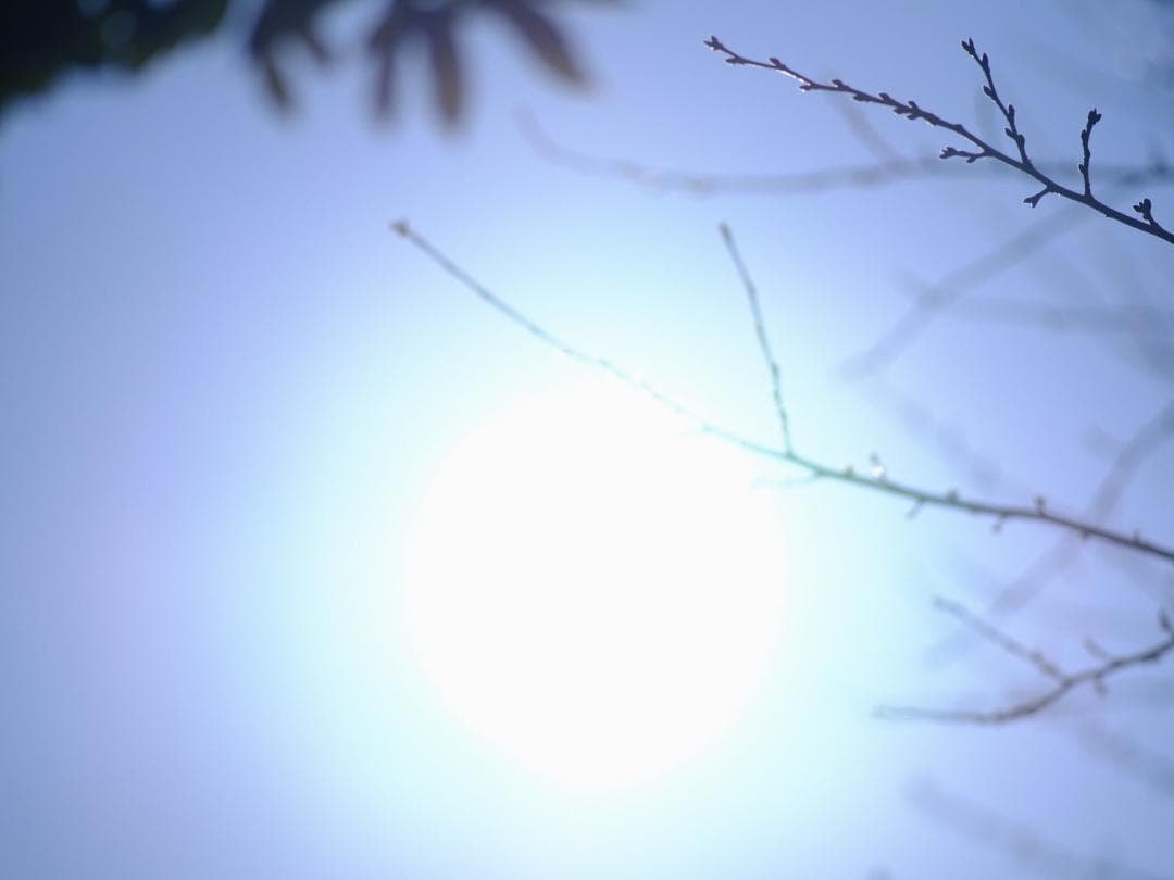 【テスト済】SMC PENTAX-A 645 200mm F4 392