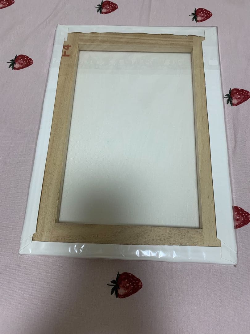 ふしぎ遊戯　キャンバスアート