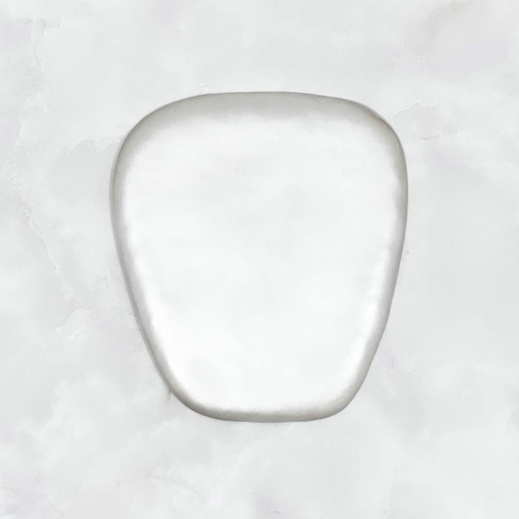 希少 宇都宮檀 銀皿1枚 伊藤聡信鈴木環剛俊河合竜彦辻和美金森正起村上躍内田鋼一