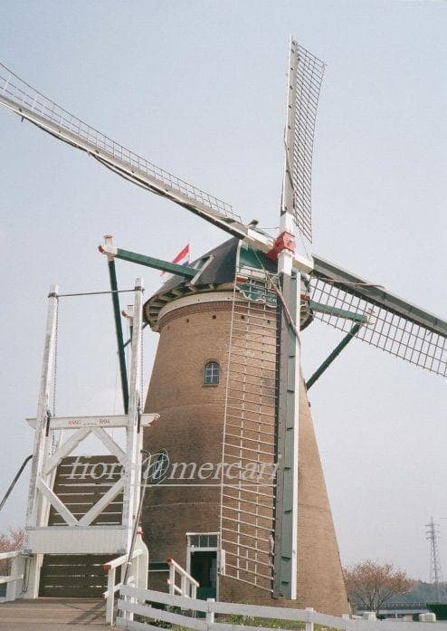 minolta repo ミノルタ レポ フィルムカメラ ハーフサイズ