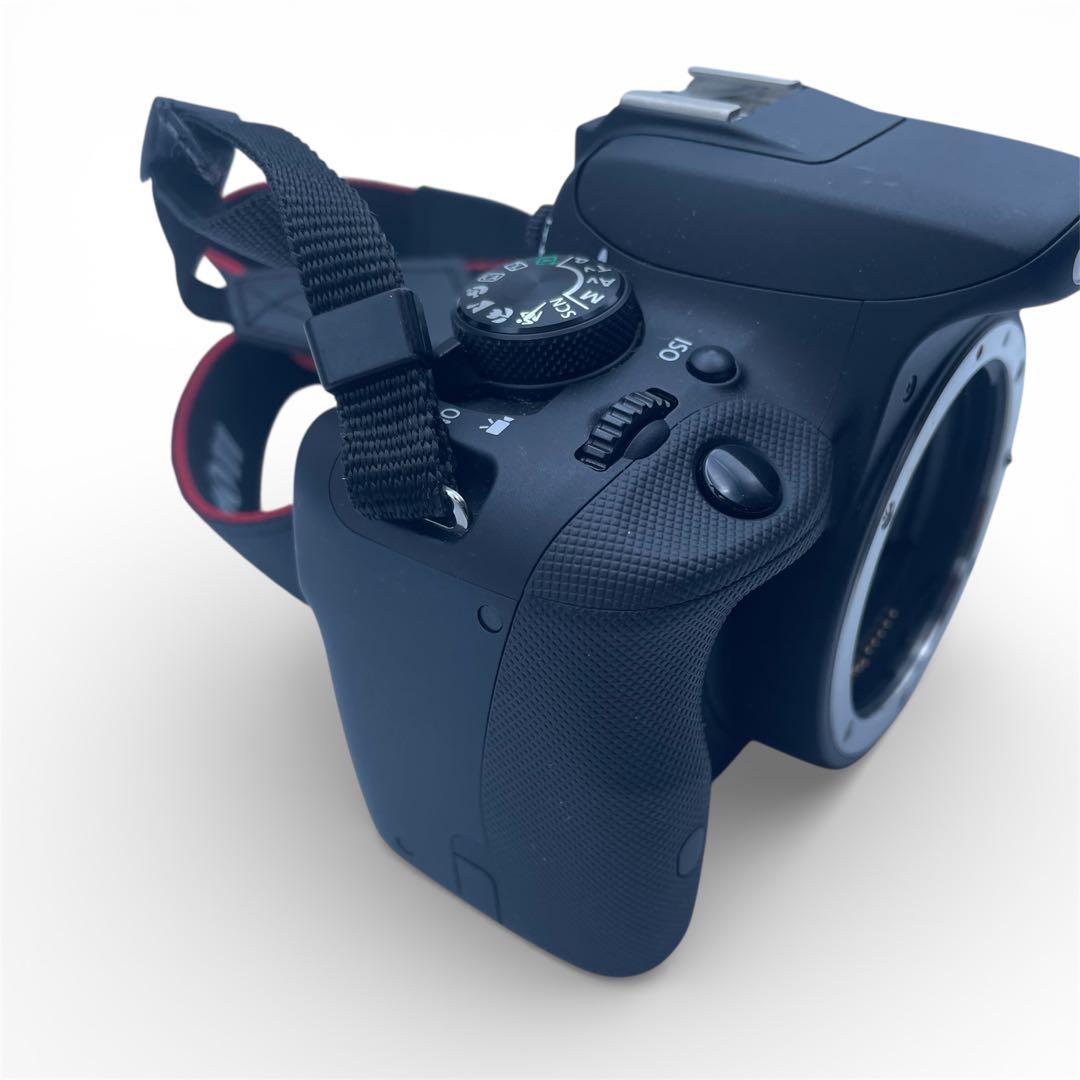 Canon一眼レフカメラ