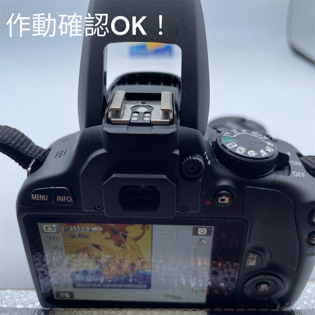 Canon一眼レフカメラ