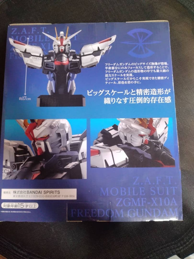 SF・ファンタジー・ホラー BANDAI ZGMF-X10A FREEDOM GUNDAM