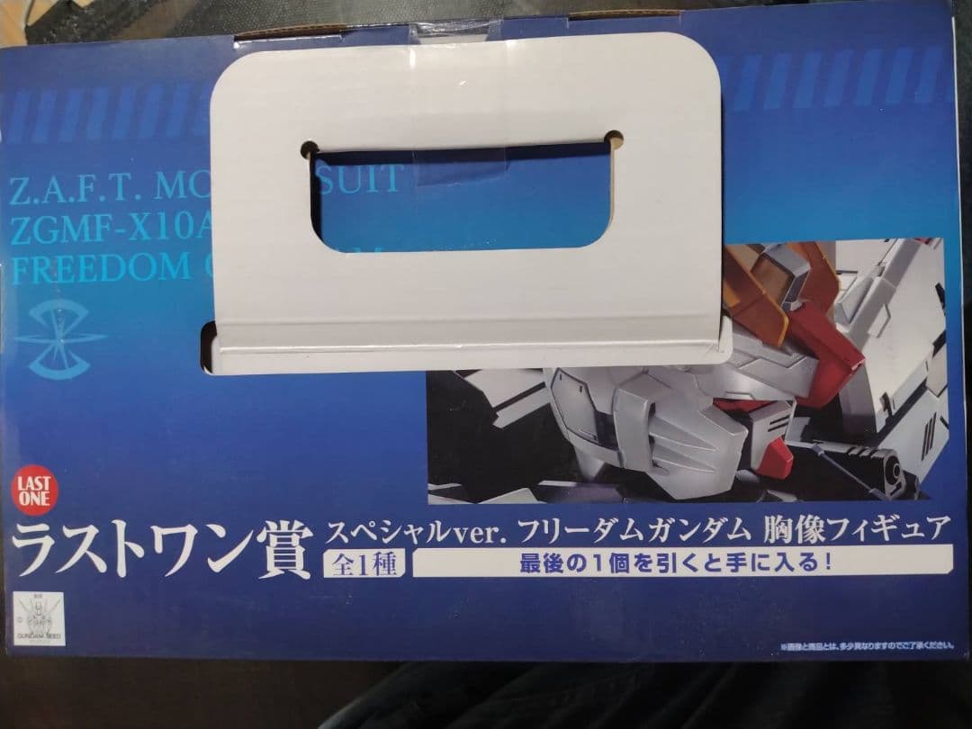 SF・ファンタジー・ホラー BANDAI ZGMF-X10A FREEDOM GUNDAM