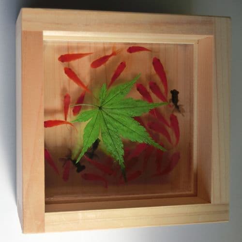 タイムセール 樹脂 金魚アートプレミアム 「極/もみじ・緑」 長寿 縁起物