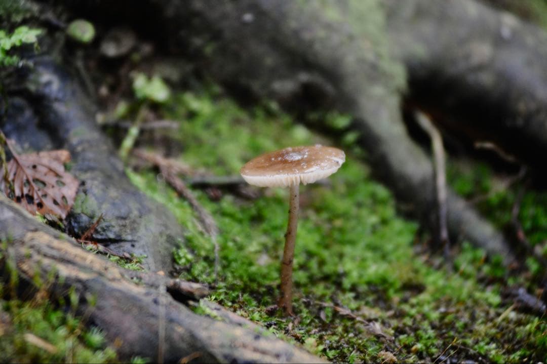 【s数6990枚】Nikon D3 デジタル一眼レフカメラ レンズ付き