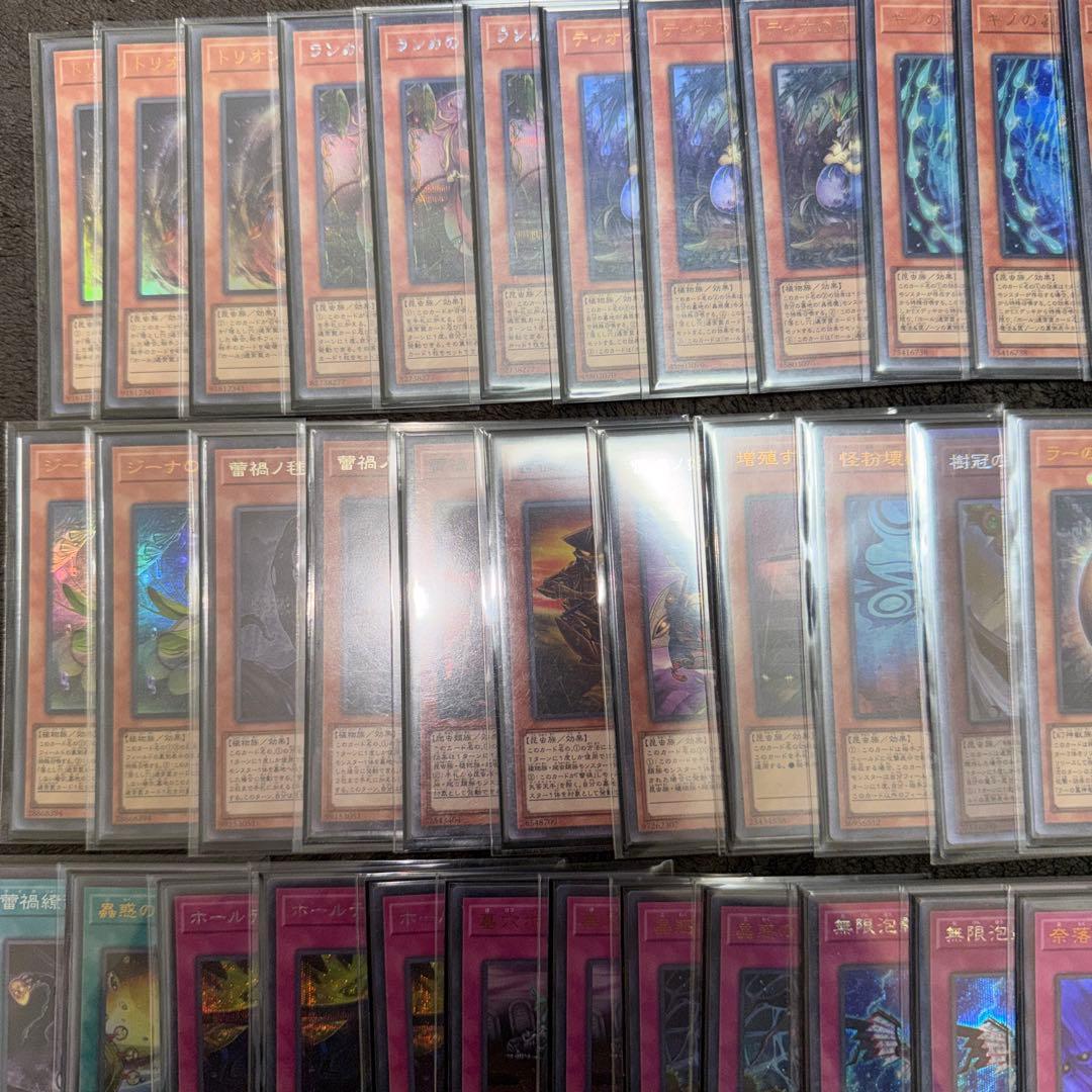 遊戯王 雷禍蟲惑魔 らいか こわくま デッキ スリーブ エクストラ付き