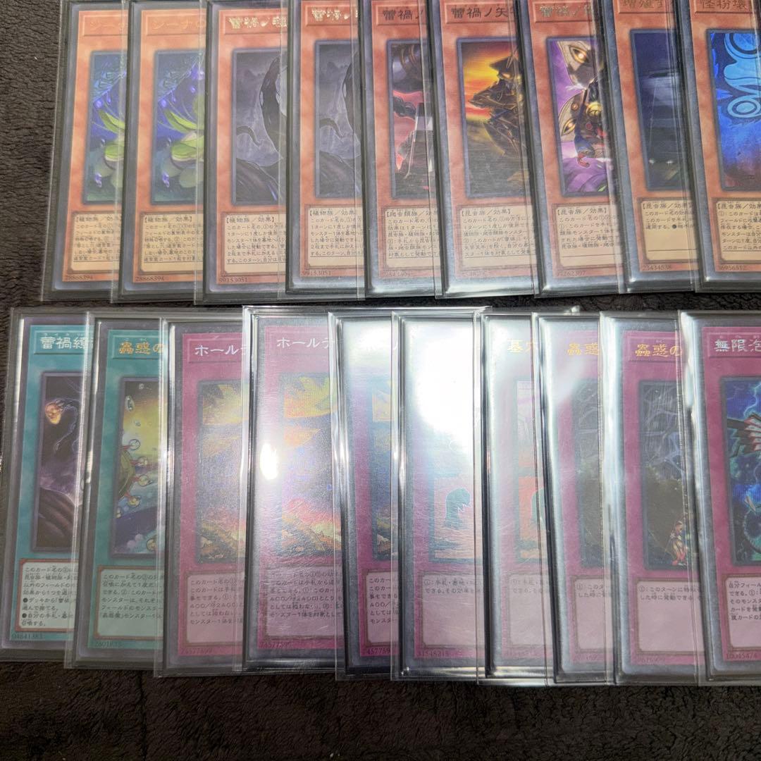 遊戯王 雷禍蟲惑魔 らいか こわくま デッキ スリーブ エクストラ付き