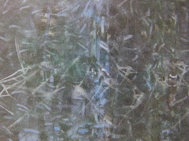 田中博之、【TAKEより】、希少な額装用画集より、新品額装付