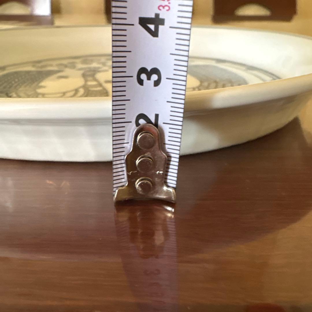 無汸庵 綿貫宏介 絵皿 食器 プレート 向かい合う孔雀