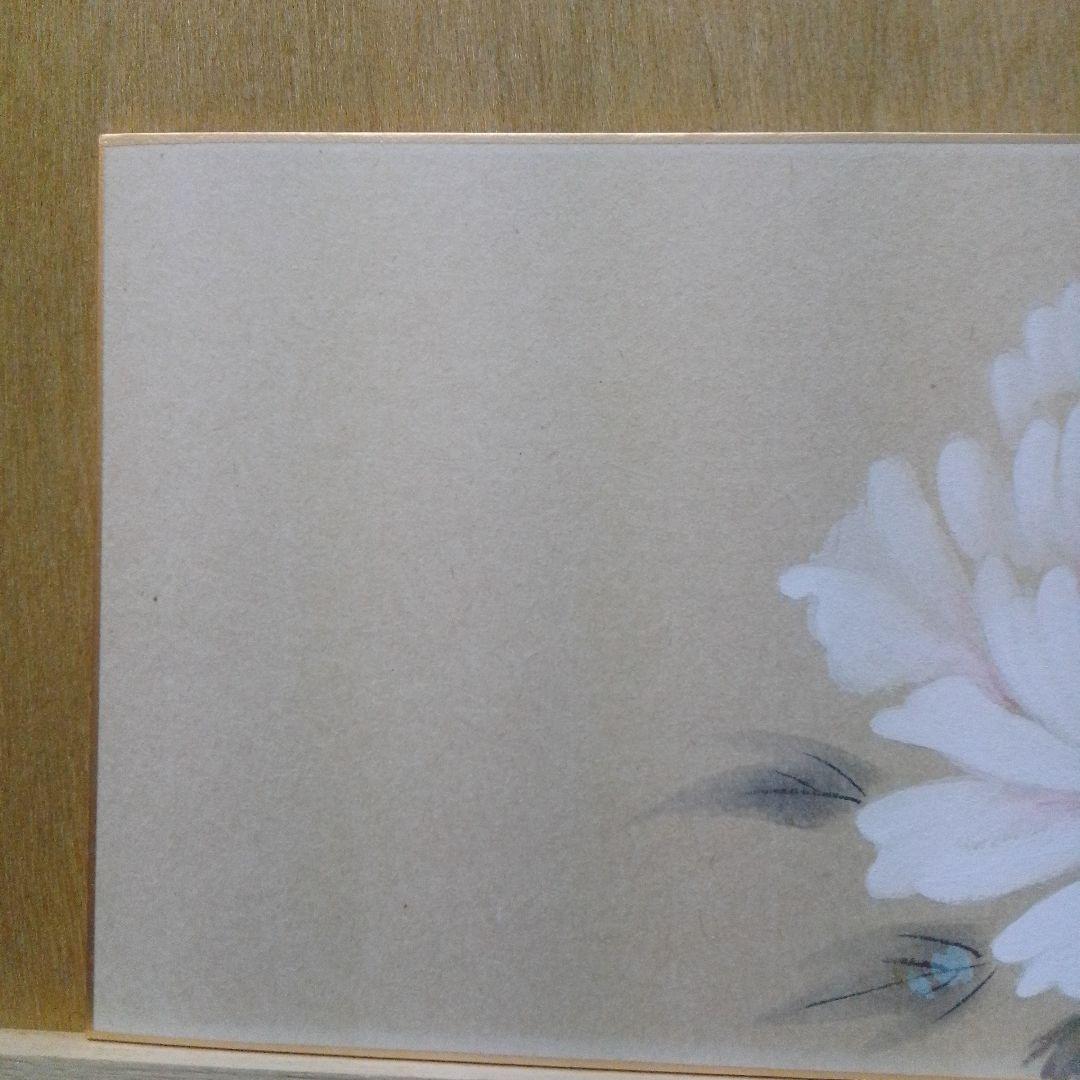 日本画 牡丹 中谷文魚 手描き 色紙 額付き
