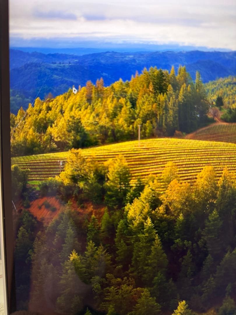 Mac Book Air M4 16GBユニファイドメモリ/ 512GB SSD