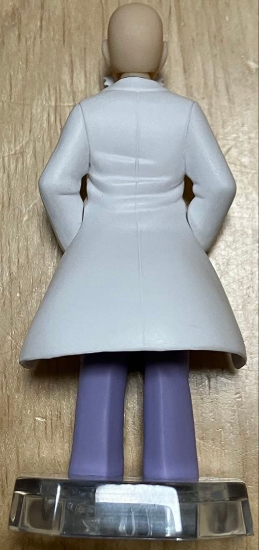 スケールワールド　カツラ