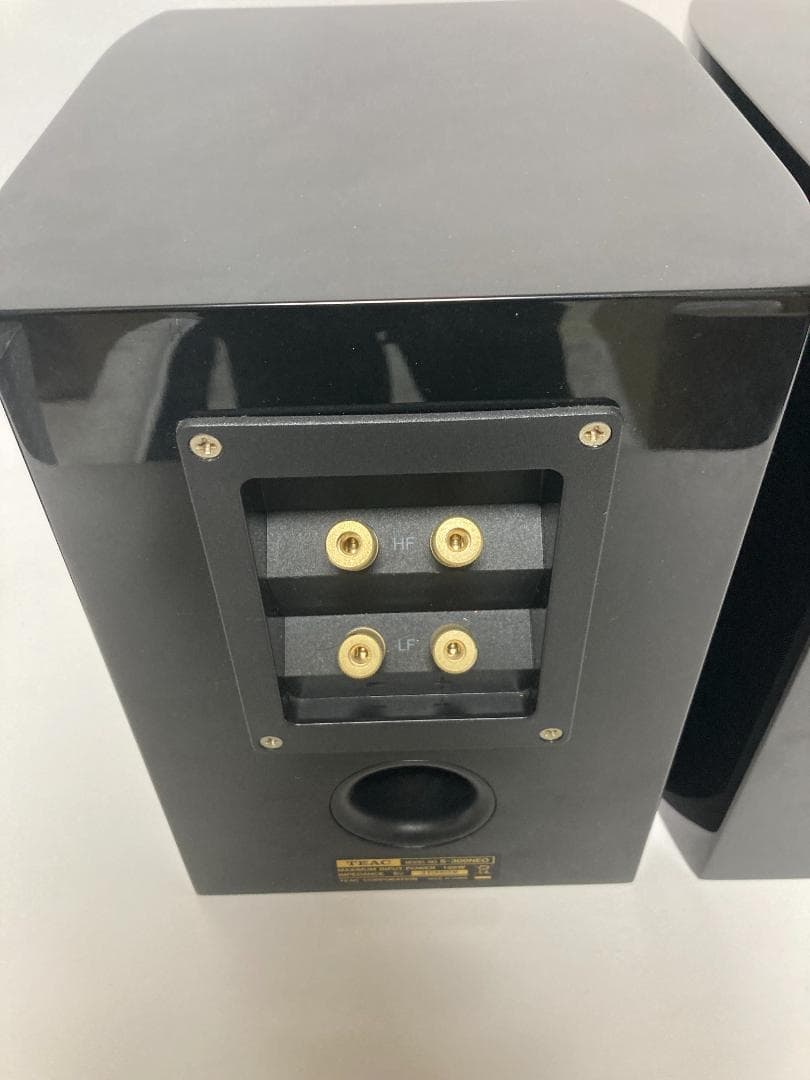 TEACスピーカー　S-300Neo　スピーカ　ティアック　ブラック