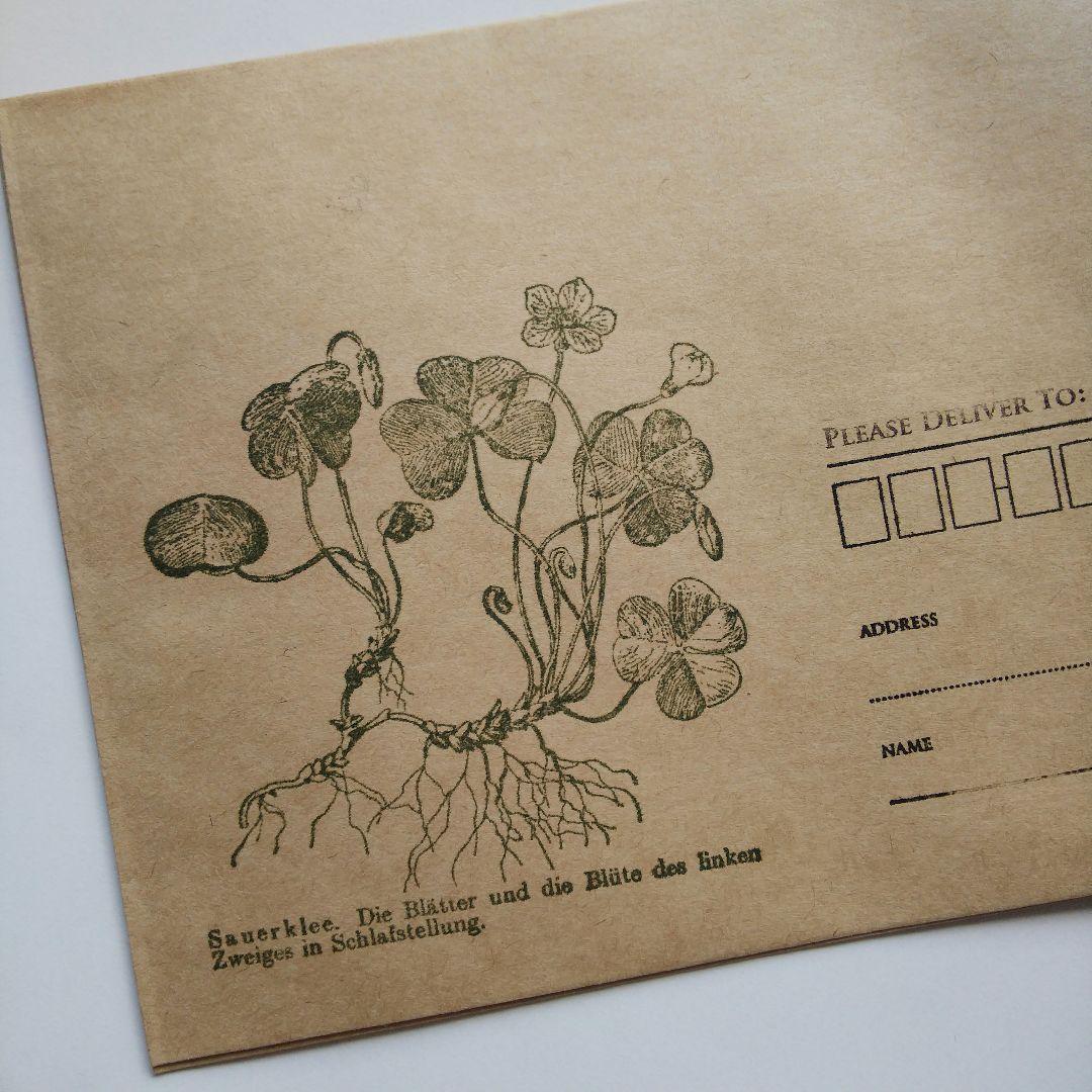 ドイツ製輸入ラバースタンプ マウント済 『大きめスタンプ/植物画/カタバミ』