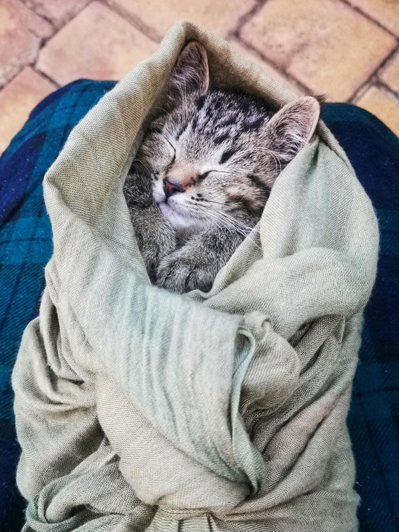 ロシア雑貨☆お起き上がりこぼし♪『冬景色』マトリョーシカ イリーナ作