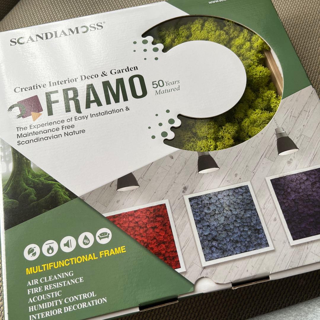 専用　スカンディアモス　フラモ　インテリア　アート　壁掛け