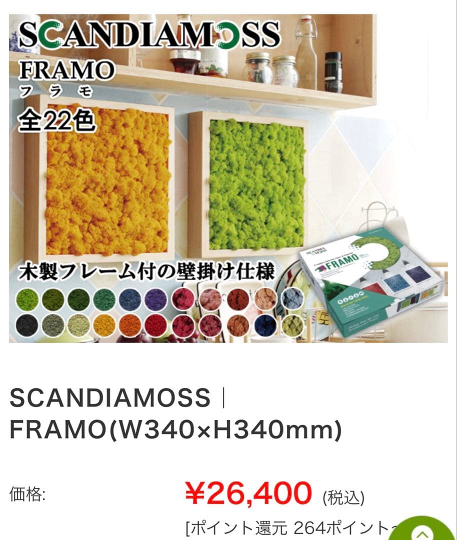 専用　スカンディアモス　フラモ　インテリア　アート　壁掛け