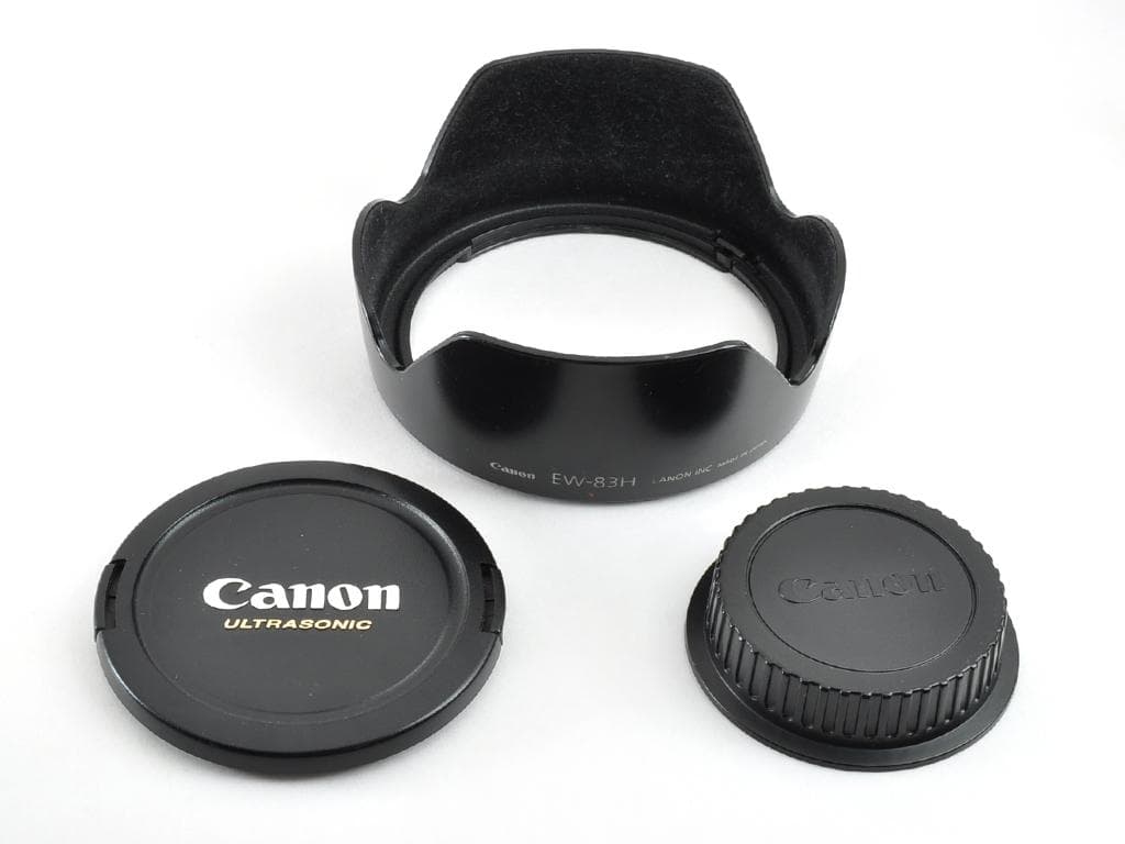 美品 キヤノン Canon EF 24-105mm f4 L IS USM 動確