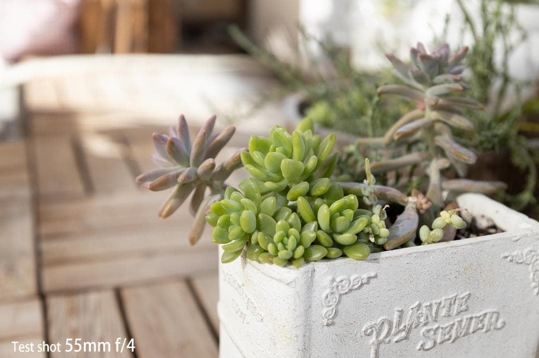 美品 キヤノン Canon EF 24-105mm f4 L IS USM 動確