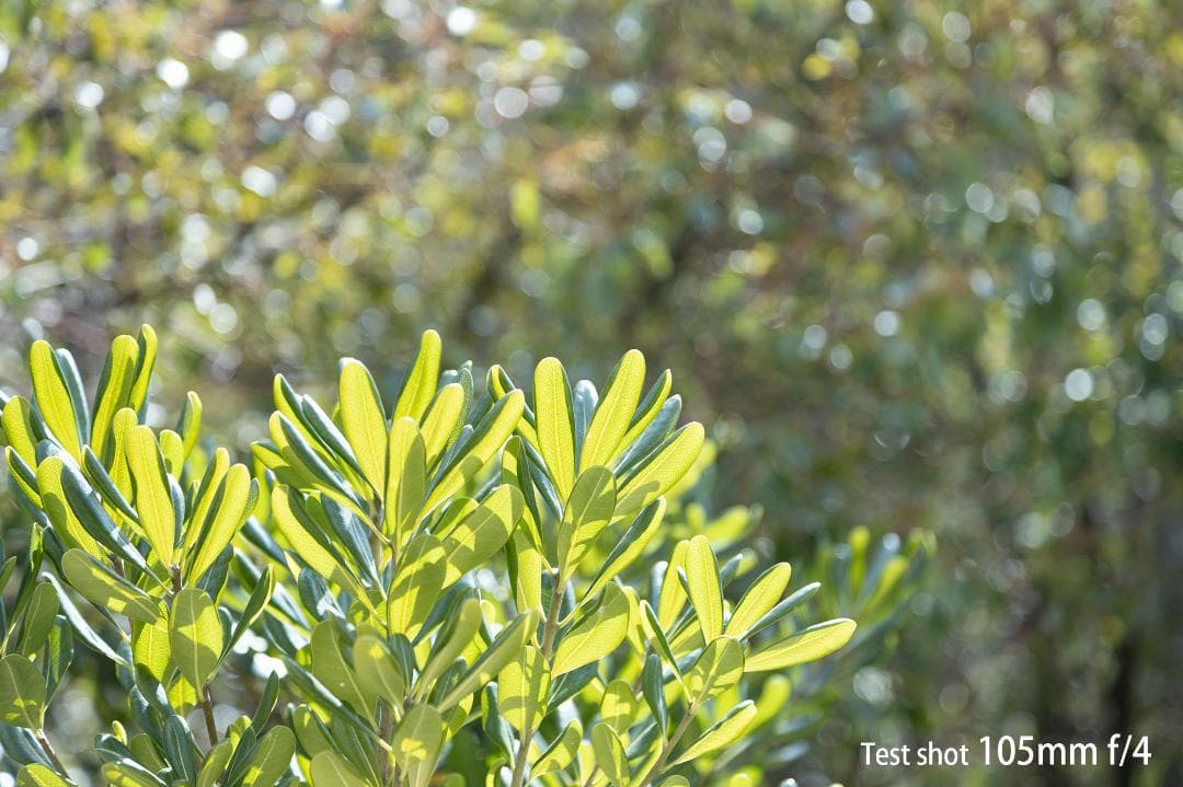 美品 キヤノン Canon EF 24-105mm f4 L IS USM 動確