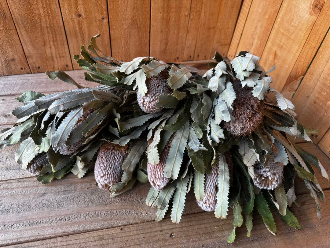 Shi-u☘️クローバー様 リクエスト 2点 まとめ商品