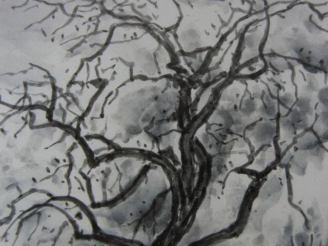 長崎莫人、【樹】、希少な額装用画集より、新品額装付、状態良好