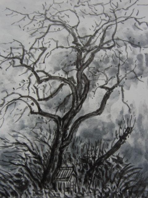 長崎莫人、【樹】、希少な額装用画集より、新品額装付、状態良好