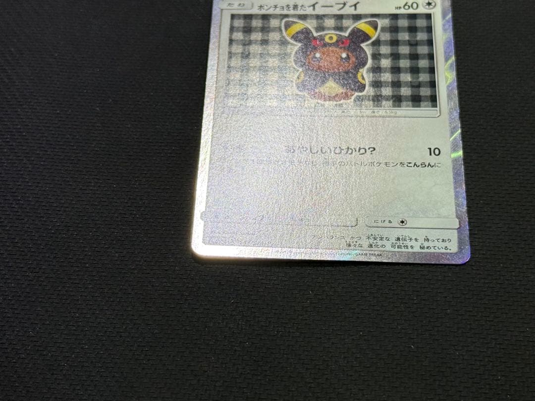 ポンチョを着たイーブイ 141/SM-P