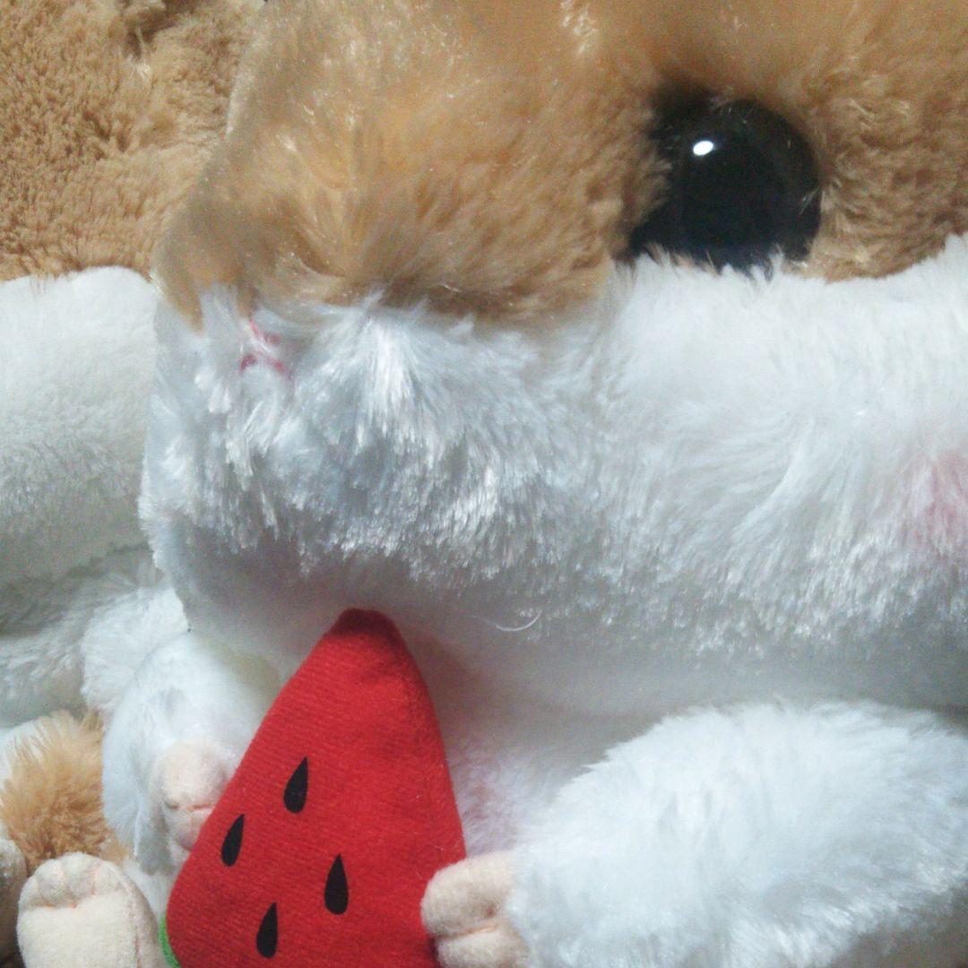 巨大ころはむコロン♪【ハムスターぬいぐるみ】