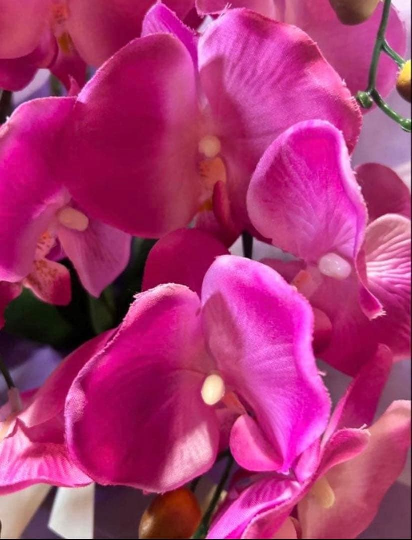 光触媒　人工観葉植物　ウォールグリーン　フェイクグリーン　胡蝶蘭3色6645