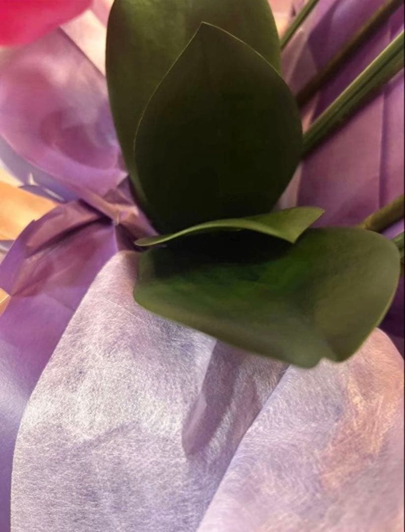 光触媒　人工観葉植物　ウォールグリーン　フェイクグリーン　胡蝶蘭3色6645