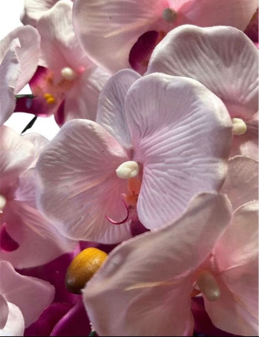 光触媒　人工観葉植物　ウォールグリーン　フェイクグリーン　胡蝶蘭3色6645