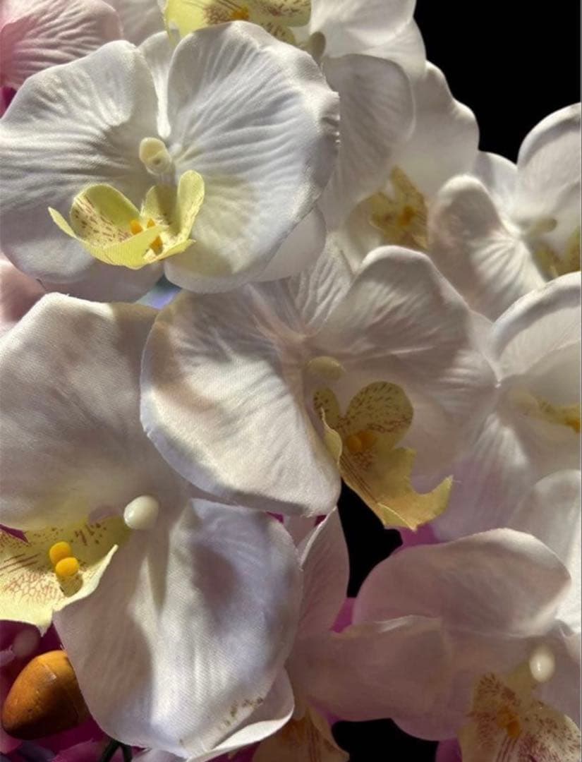 光触媒　人工観葉植物　ウォールグリーン　フェイクグリーン　胡蝶蘭3色6645