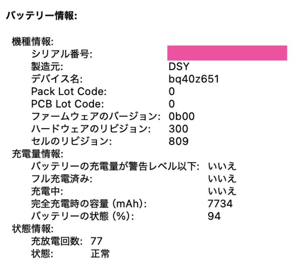 ジャンク 16\" MacBook Pro 2019 64GB/2TB US-KB
