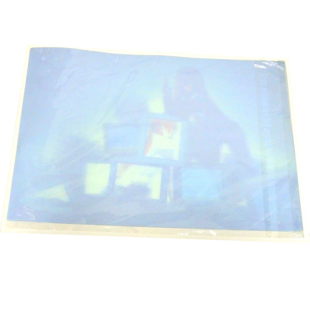 シュタインズゲート ゼロ Blu-ray予約特典 A3 3Dポスター 牧瀬紅莉栖