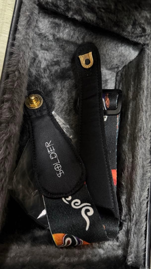 ギター Epiphone Tak Matsumoto DC Custom \B'z