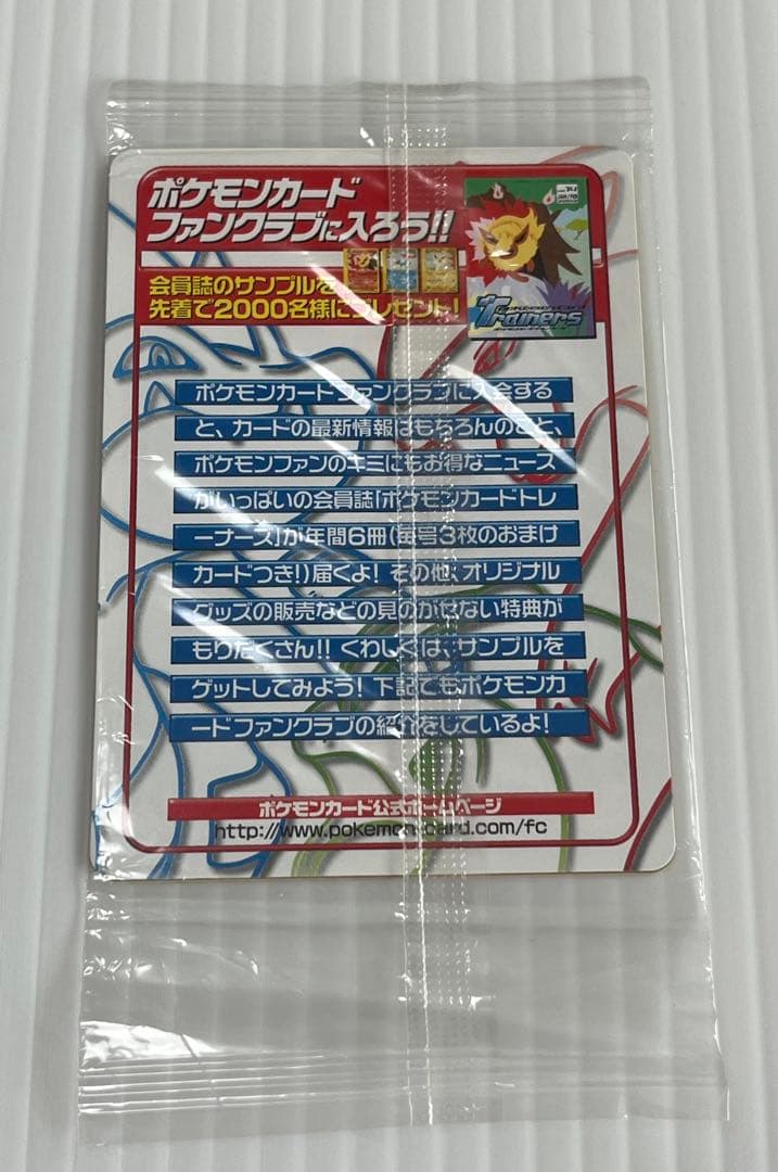 ピチュー兄弟
