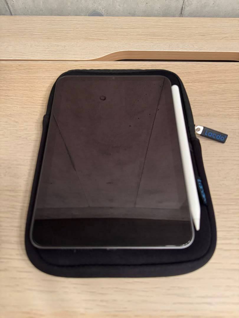 【美品】iPad mini 第6世代 64GB WiFi モデル ペン付き