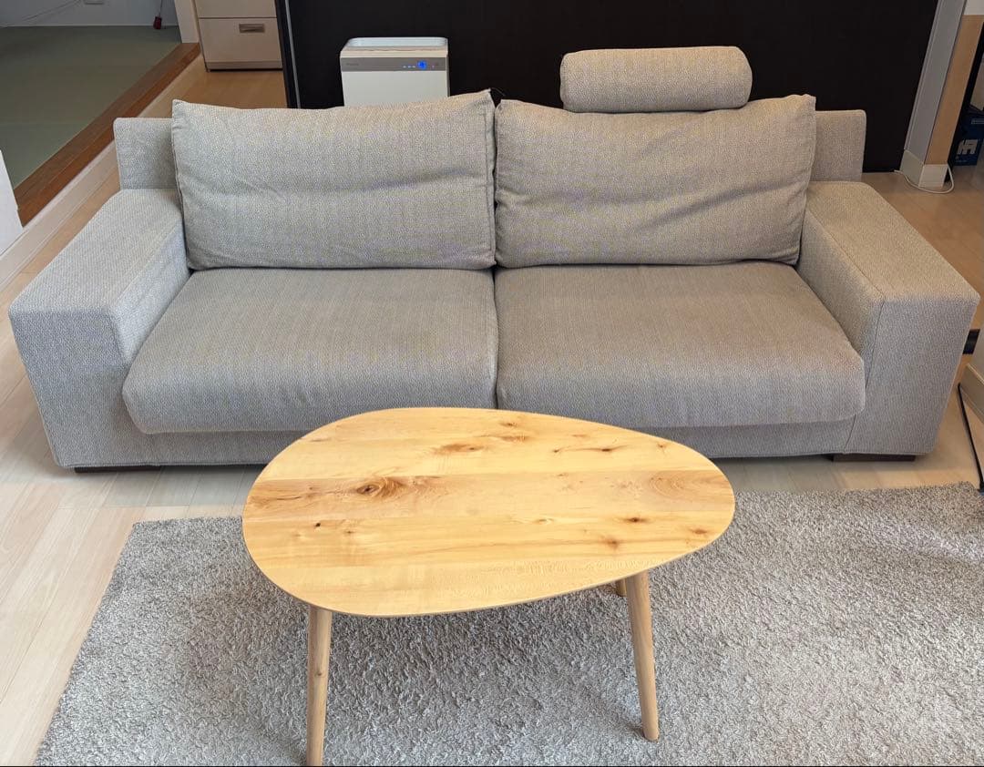 ★ACTUS(アクタス)★ ペイル2 中古 2〜3人掛けソファ+カバー3色アリ