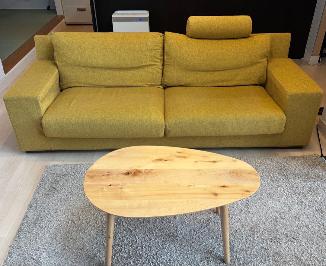 ★ACTUS(アクタス)★ ペイル2 中古 2〜3人掛けソファ+カバー3色アリ