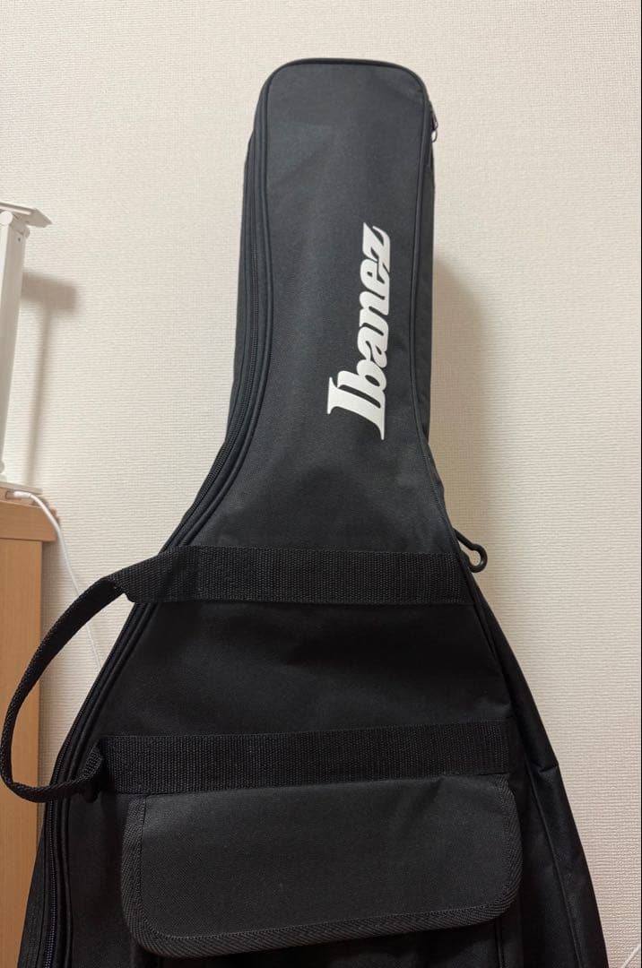 Ibanez rgv250 エレキギター ホワイト チューナー 弦 クリーナー