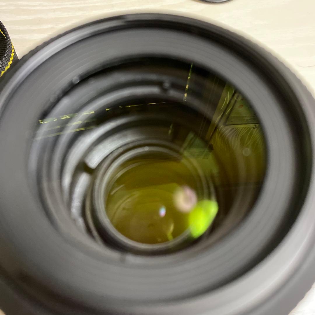 Nikon D5500 一眼レフ AF-ＰNIKKOR 70-300mmセット