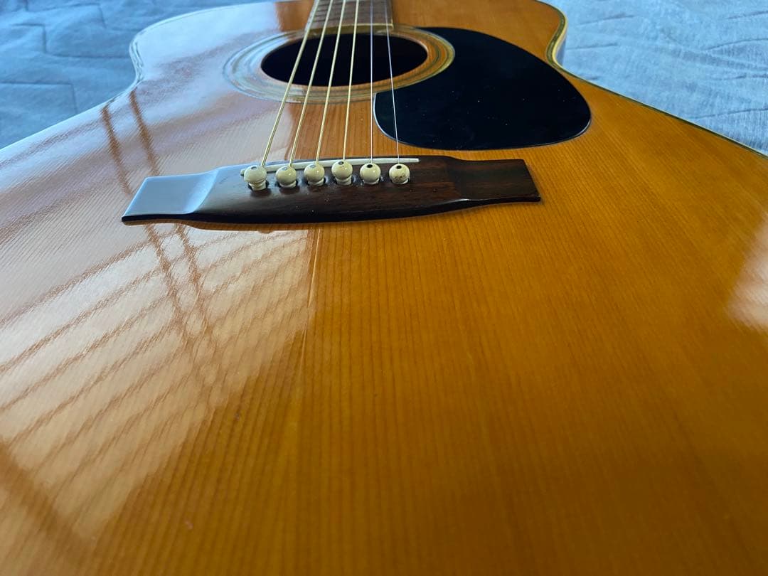 JAGARD VF600(VP60) バイオリンシェイブギター