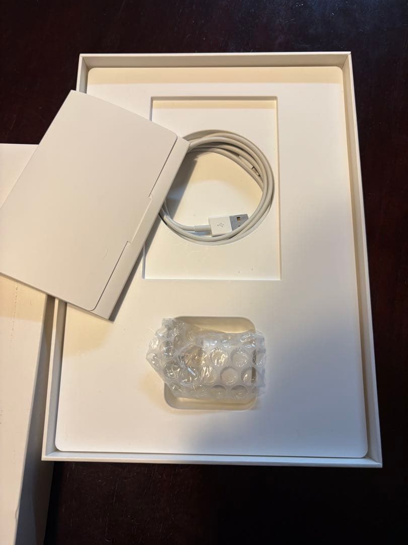 Apple iPad mini5 シルバー 箱つき