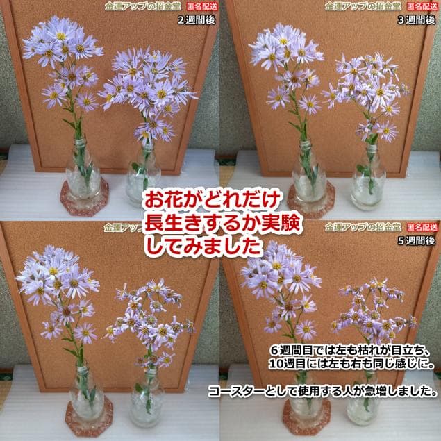 スペシャル『お金の恩返し』2026年3月5日（一粒万倍日×天赦日×寅の日×大安）