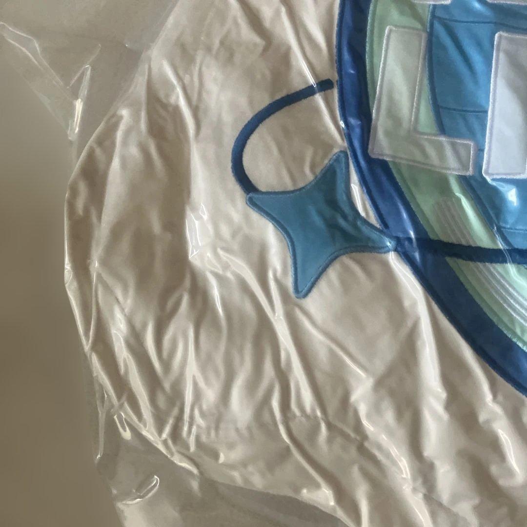 TikTok LIVE■クッション■非売品■限定グッズ■ユニバース■ミントブルー