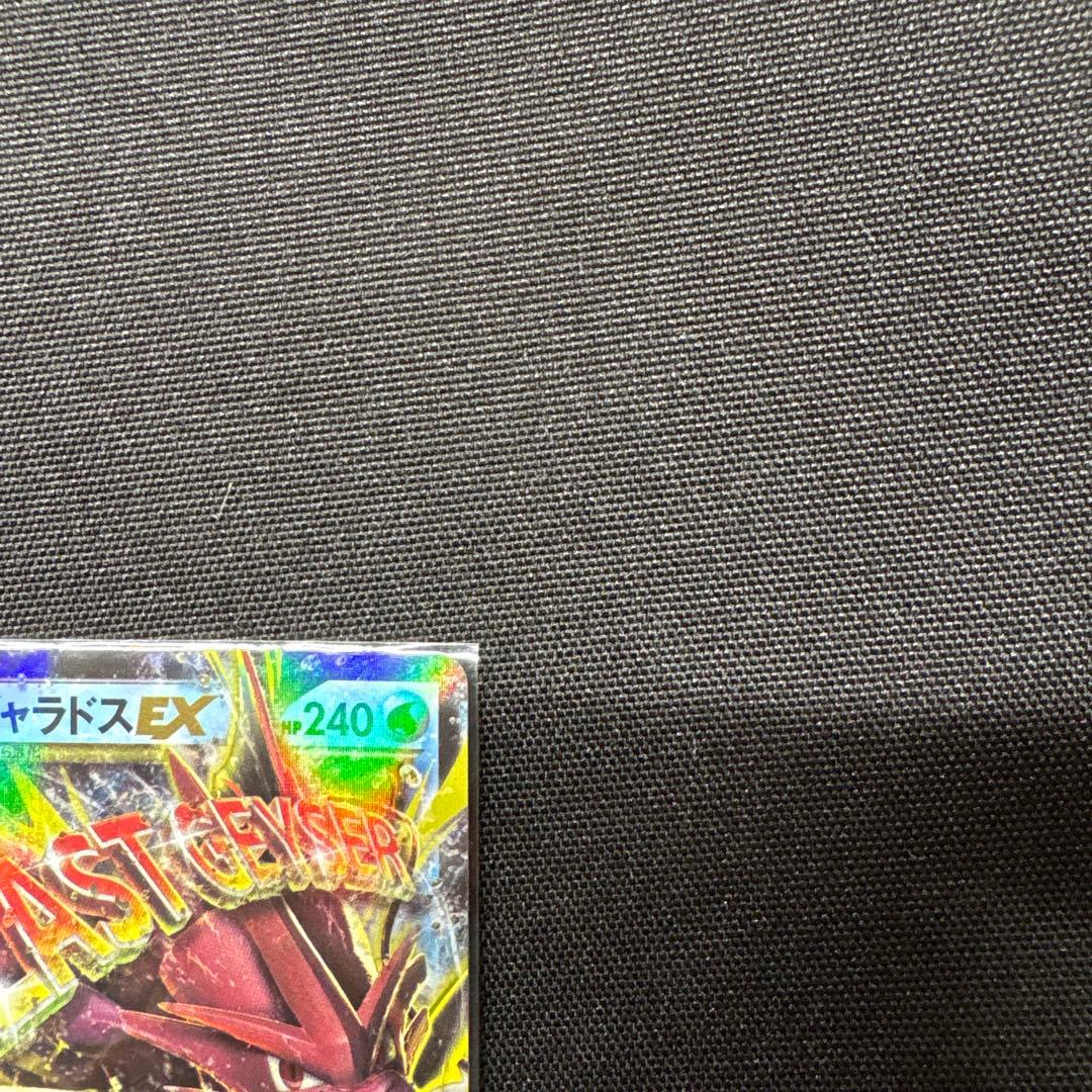 MギャラドスEX RR XY9 破天の怒り 019/080