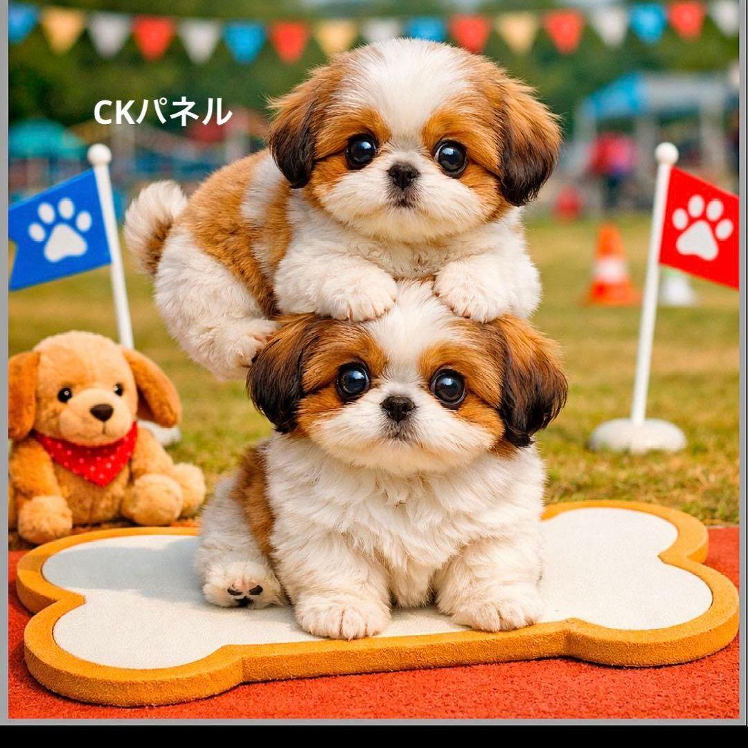 ハンドメイドオーダー受け付け(ポメラニアン、チワワ、トイプードル、シーズー)